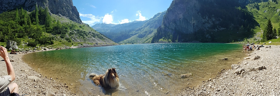 Krnsko jezero, 28. 7. 2020. Slika je vidna v Google Chromu.