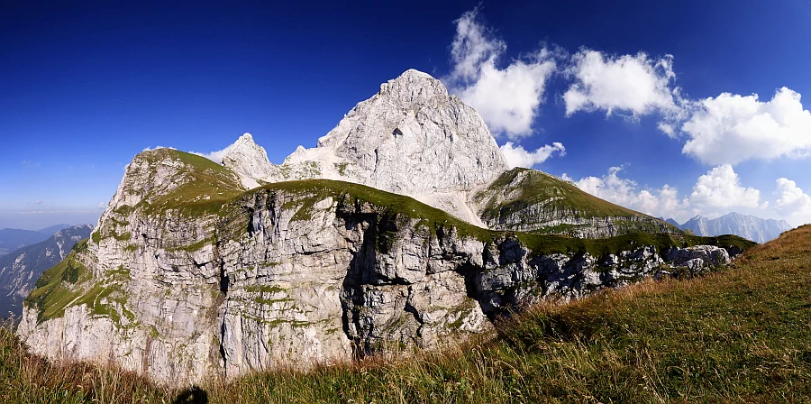 Mangrt, 7. 8. 2015. Slika je vidna v Google Chromu.