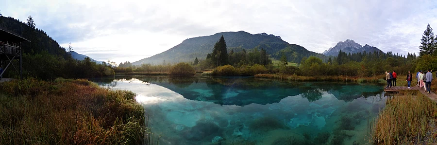 Zelenci, 26. 9. 2014. Slika je vidna v Google Chromu.