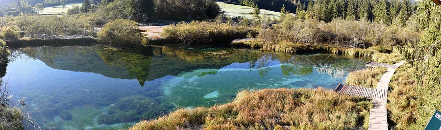 Zelenci, 26. 9. 2018. Slika je vidna v Google Chromu.