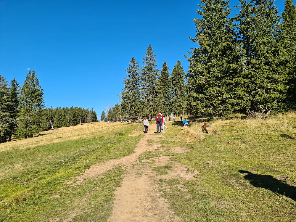 Slika je vidna v Google Chromu.