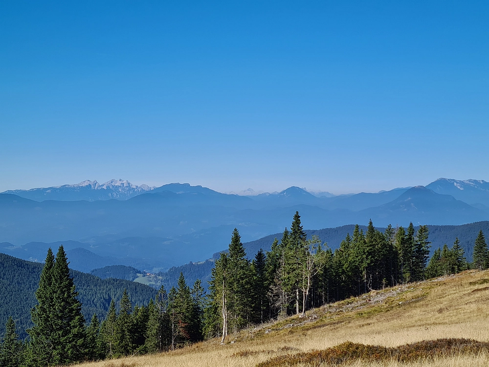Slika je vidna v Google Chromu.