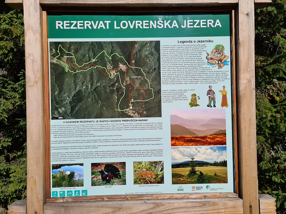 Slika je vidna v Google Chromu.