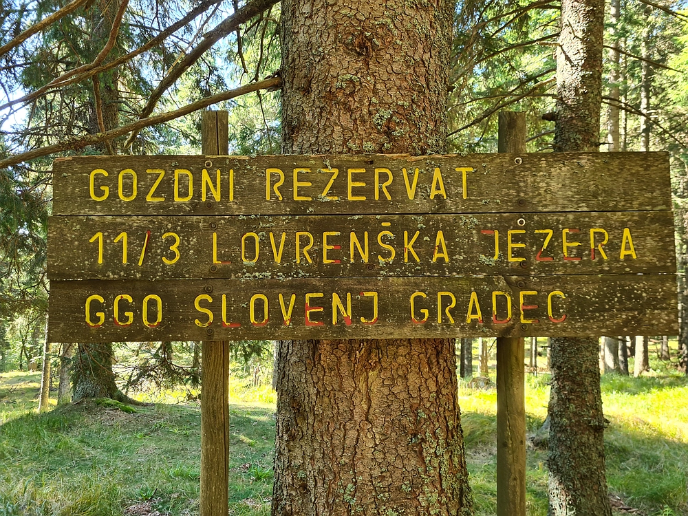 Slika je vidna v Google Chromu.