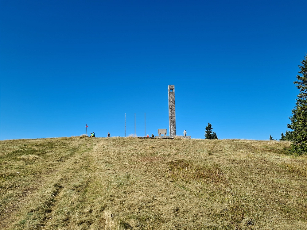 Slika je vidna v Google Chromu.