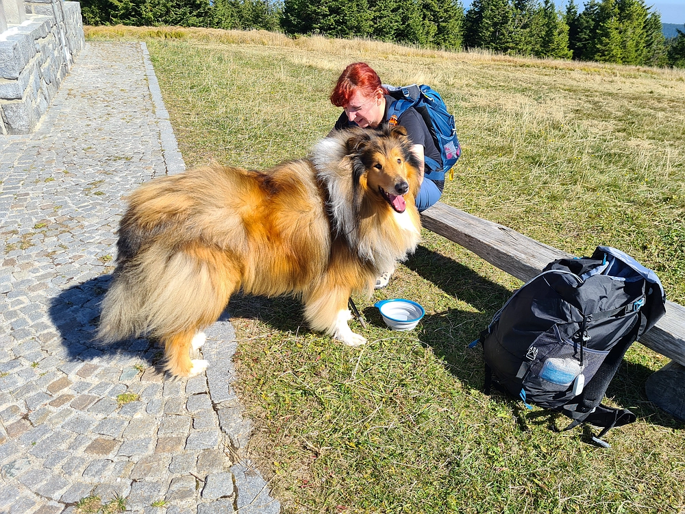 Slika je vidna v Google Chromu.