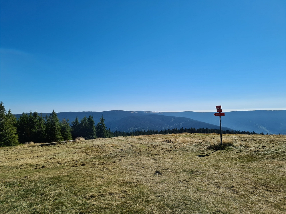 Slika je vidna v Google Chromu.