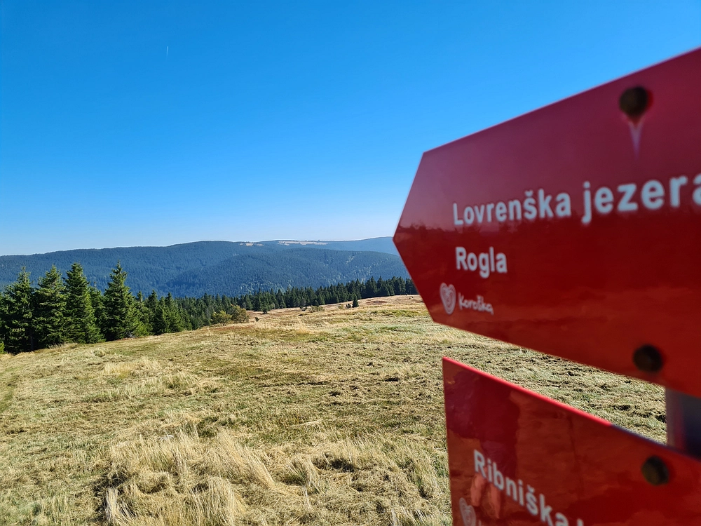 Slika je vidna v Google Chromu.