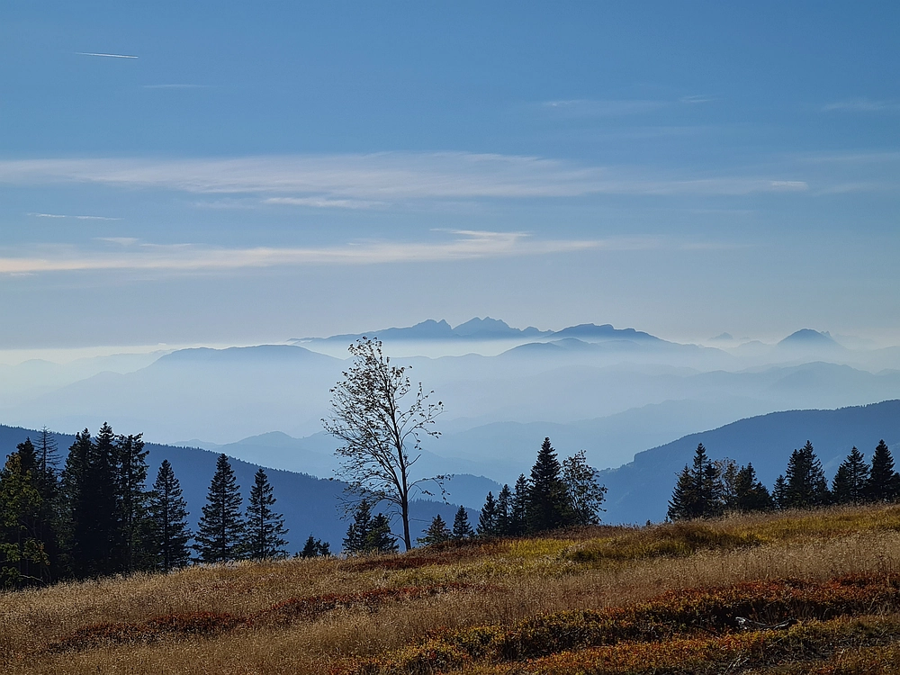 Slika je vidna v Google Chromu.