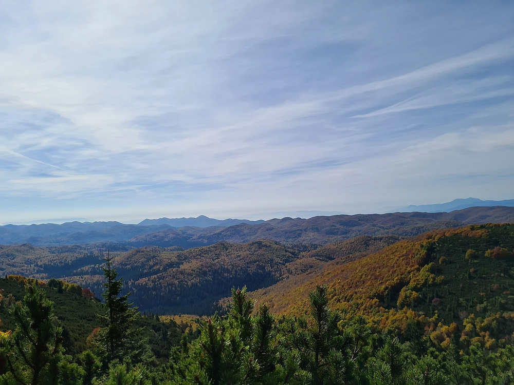 Slika je vidna v Google Chromu.