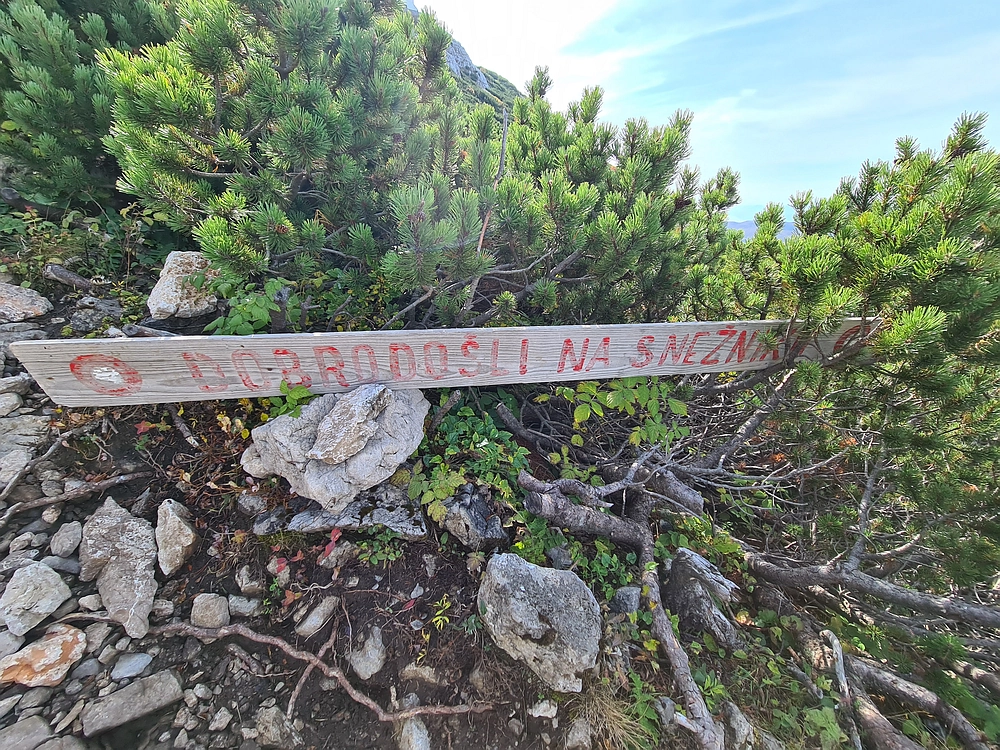 Slika je vidna v Google Chromu.