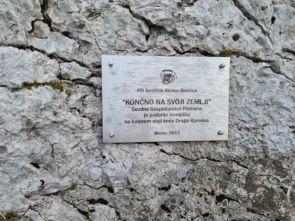 Slika je vidna v Google Chromu.