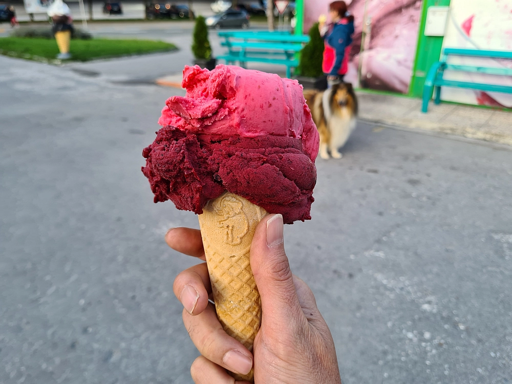 Slika je vidna v Google Chromu.