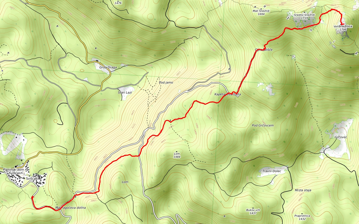 Slika je vidna v Google Chromu.