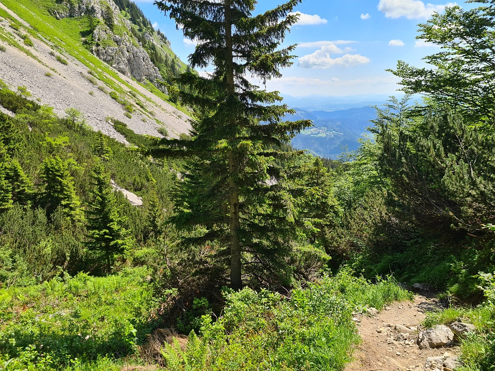 Slika je vidna v Google Chromu.