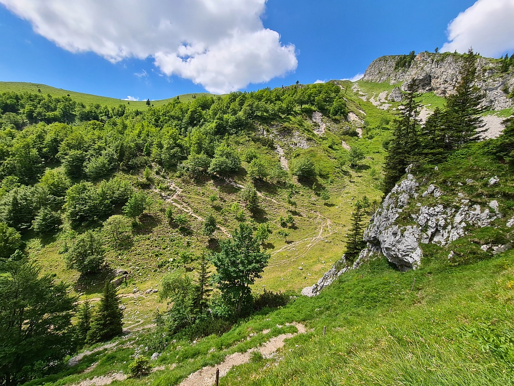 Slika je vidna v Google Chromu.