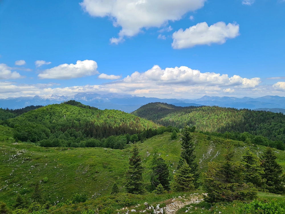 Slika je vidna v Google Chromu.