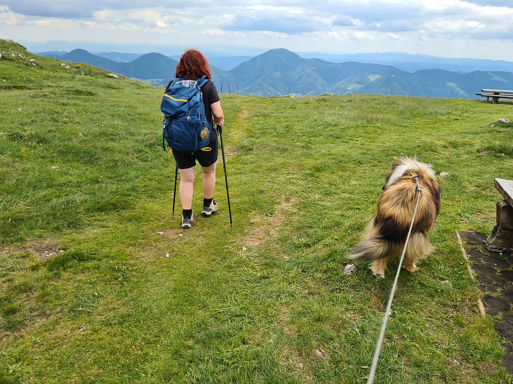 Slika je vidna v Google Chromu.
