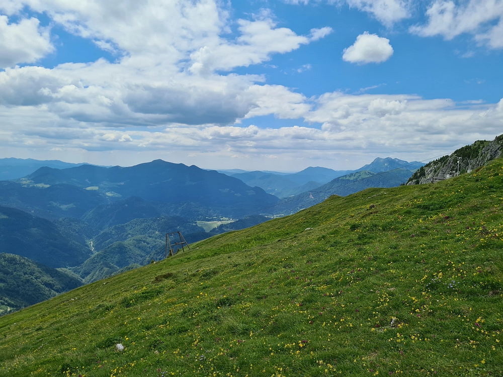 Slika je vidna v Google Chromu.