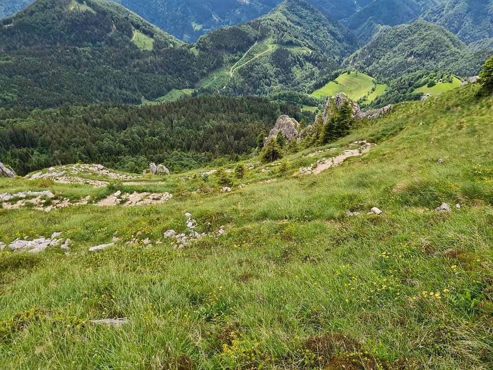 Slika je vidna v Google Chromu.