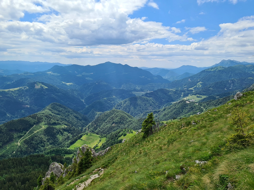 Slika je vidna v Google Chromu.
