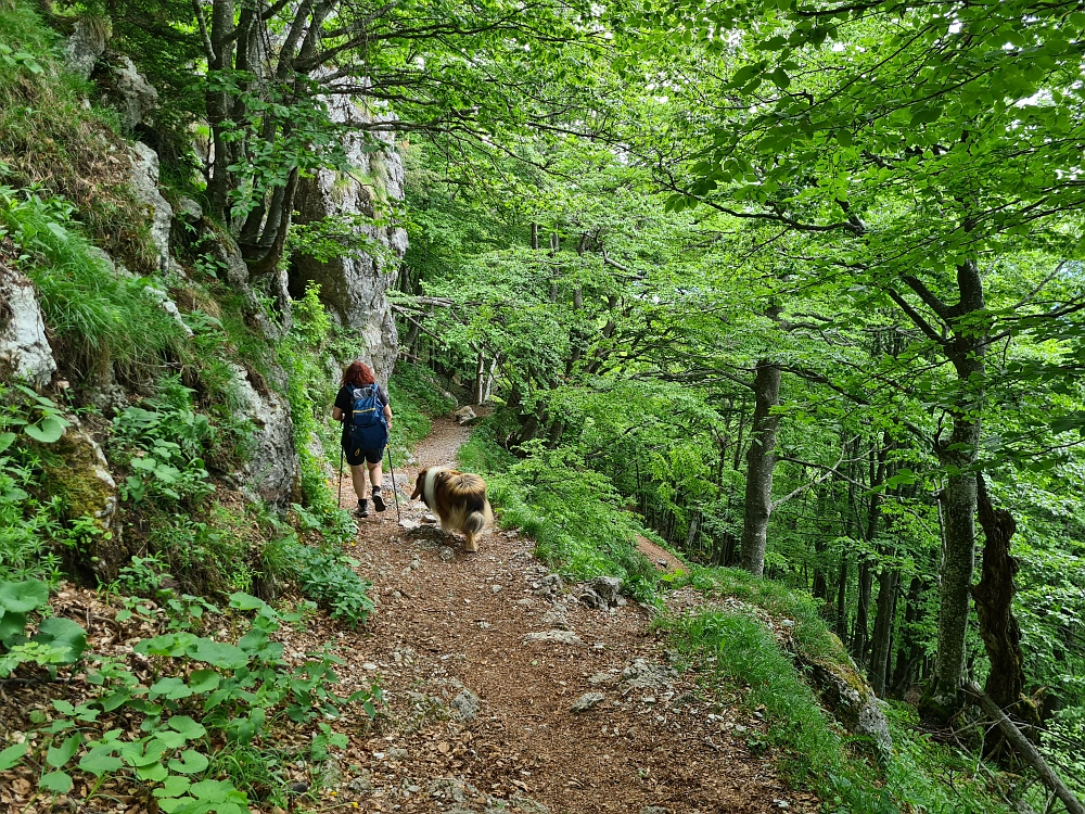 Slika je vidna v Google Chromu.