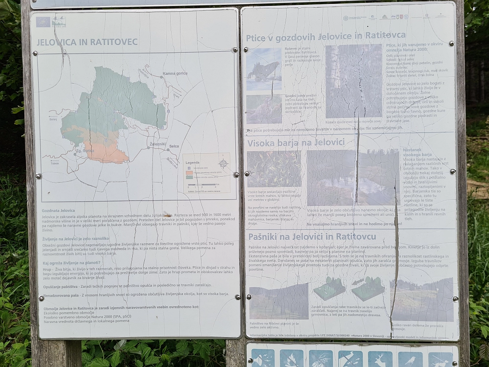 Slika je vidna v Google Chromu.