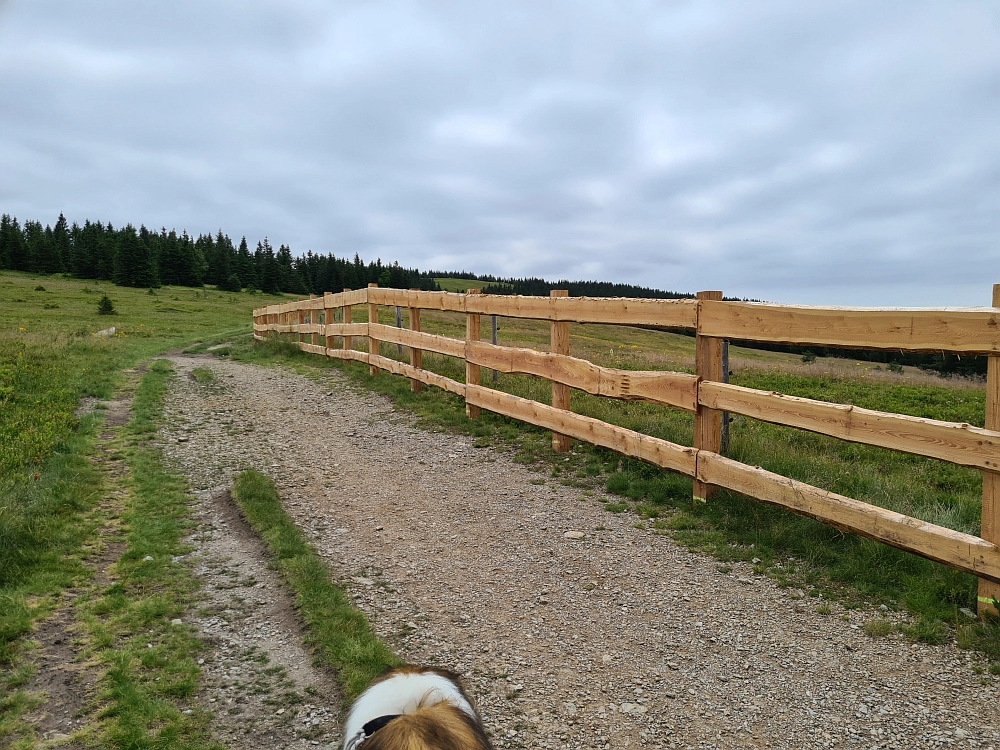 Slika je vidna v Google Chromu.