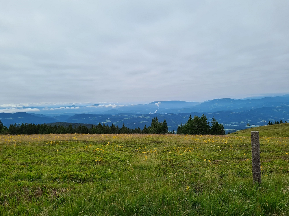 Slika je vidna v Google Chromu.