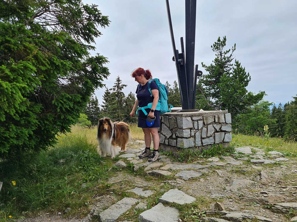 Slika je vidna v Google Chromu.