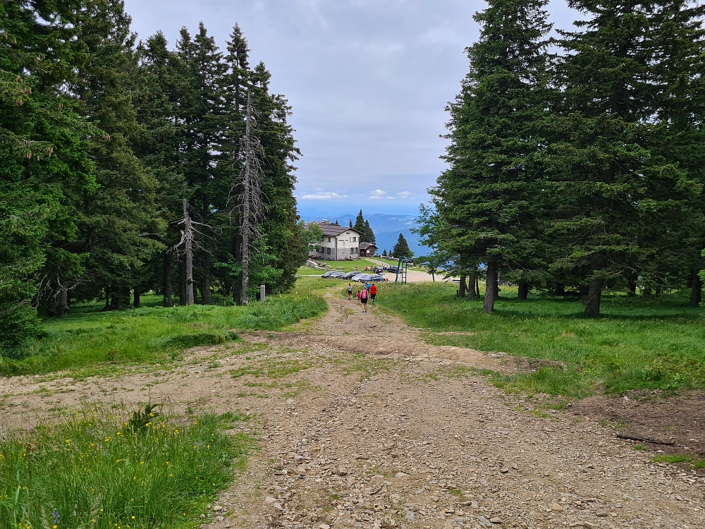 Slika je vidna v Google Chromu.