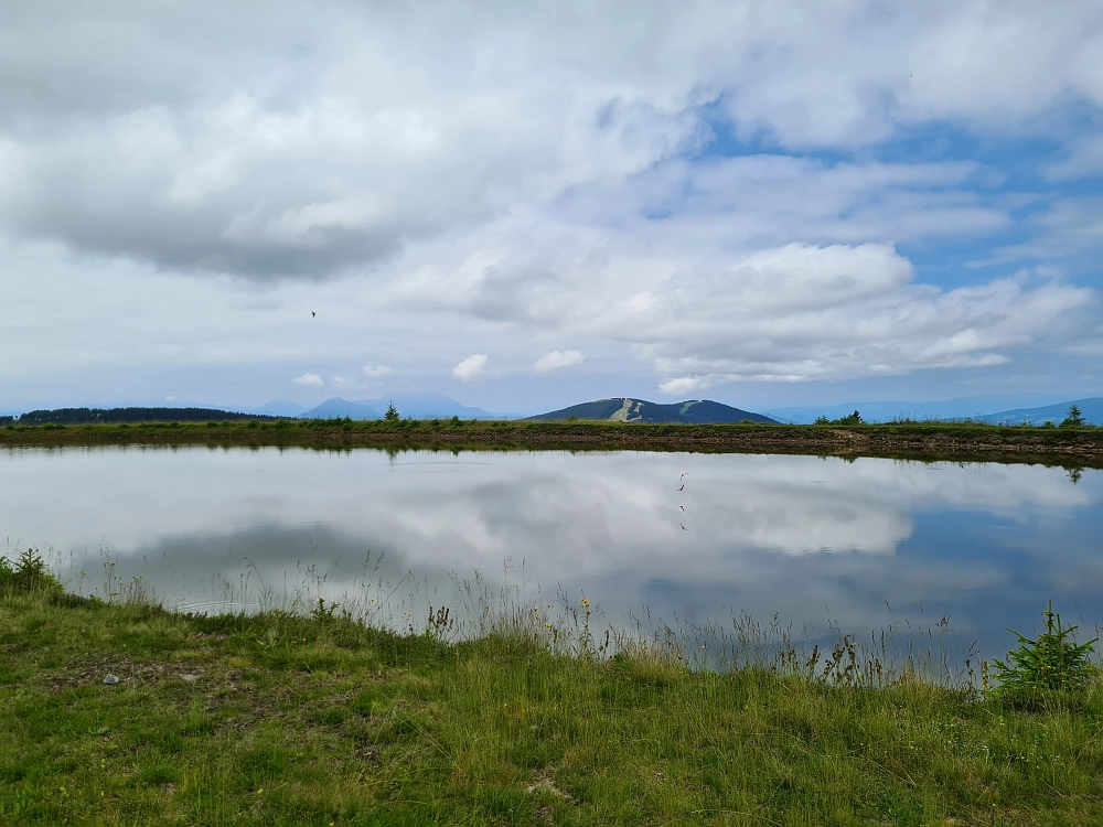 Slika je vidna v Google Chromu.