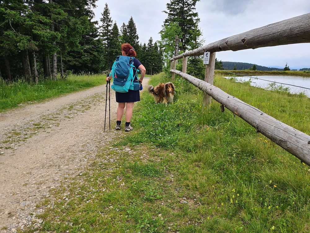 Slika je vidna v Google Chromu.