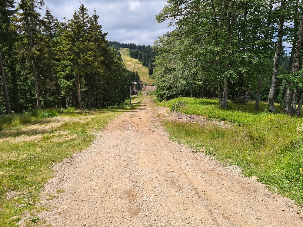 Slika je vidna v Google Chromu.
