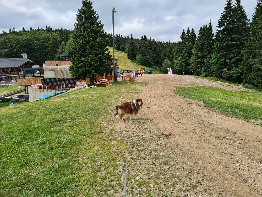 Slika je vidna v Google Chromu.