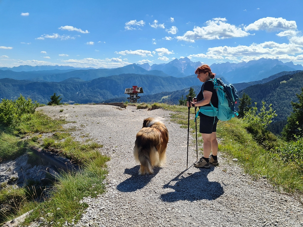Slika je vidna v Google Chromu.