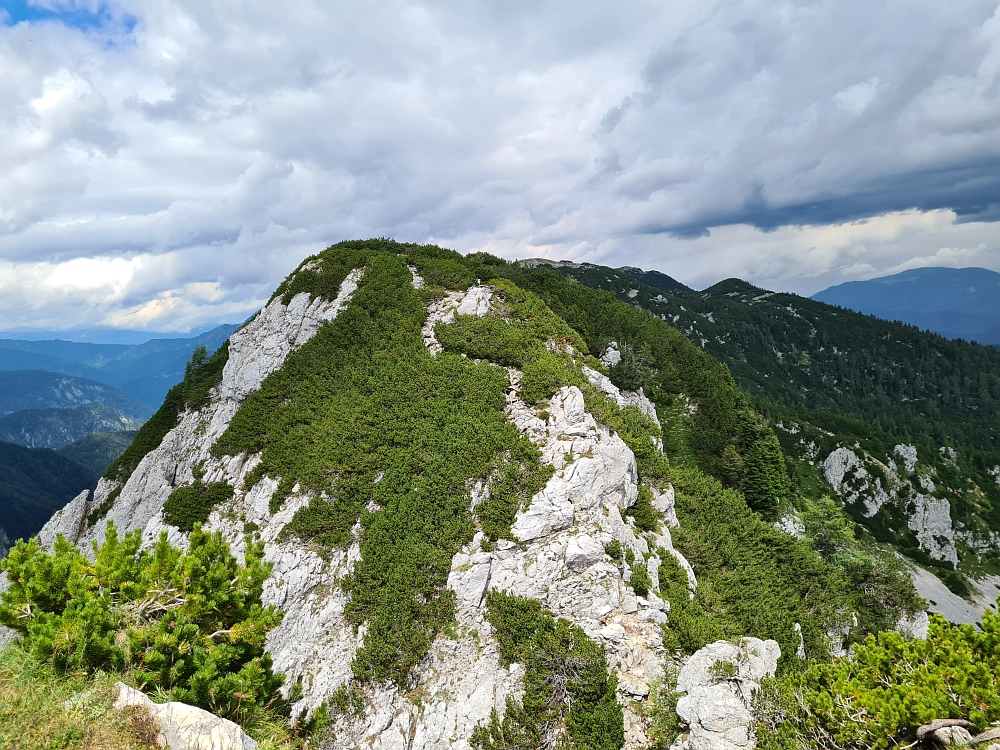 Slika je vidna v Google Chromu.