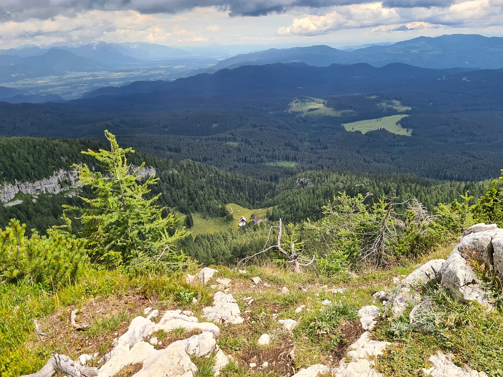 Slika je vidna v Google Chromu.
