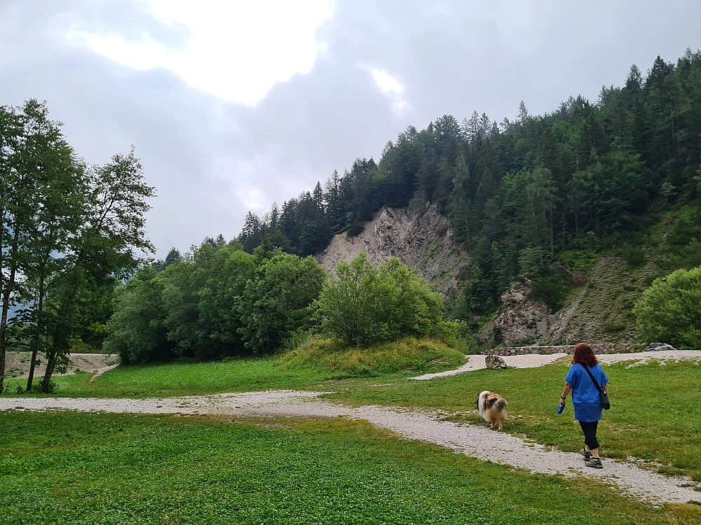 Slika je vidna v Google Chromu.