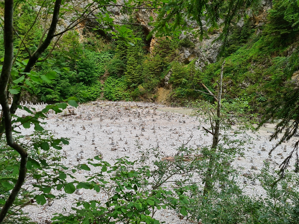 Slika je vidna v Google Chromu.