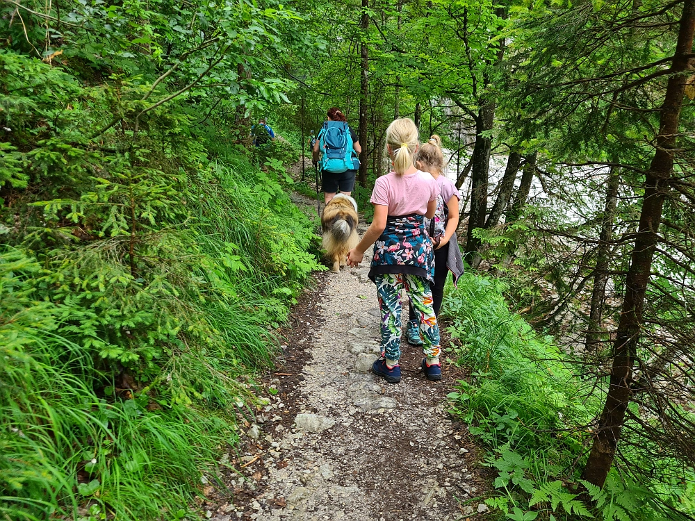 Slika je vidna v Google Chromu.