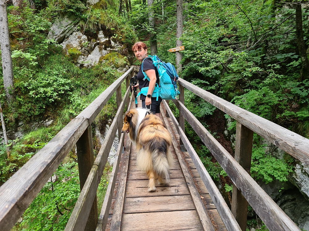 Slika je vidna v Google Chromu.