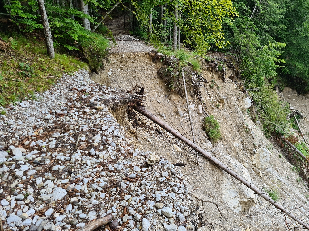 Slika je vidna v Google Chromu.