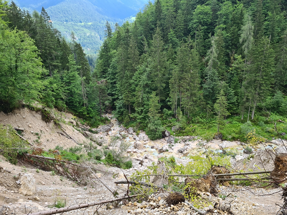 Slika je vidna v Google Chromu.