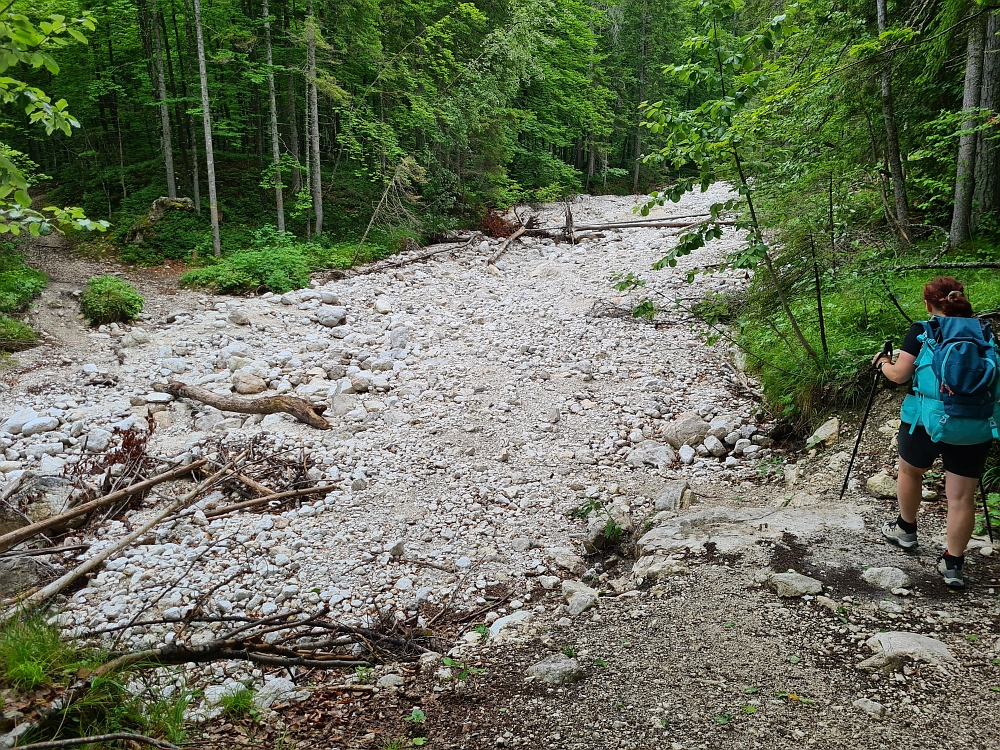 Slika je vidna v Google Chromu.