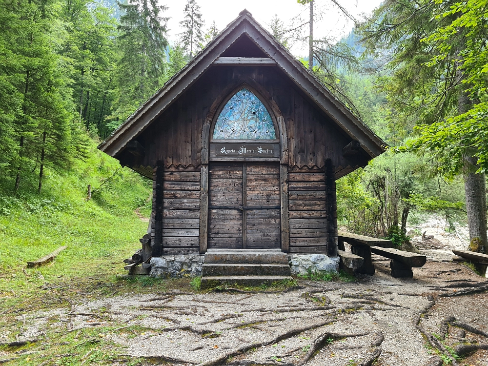 Slika je vidna v Google Chromu.