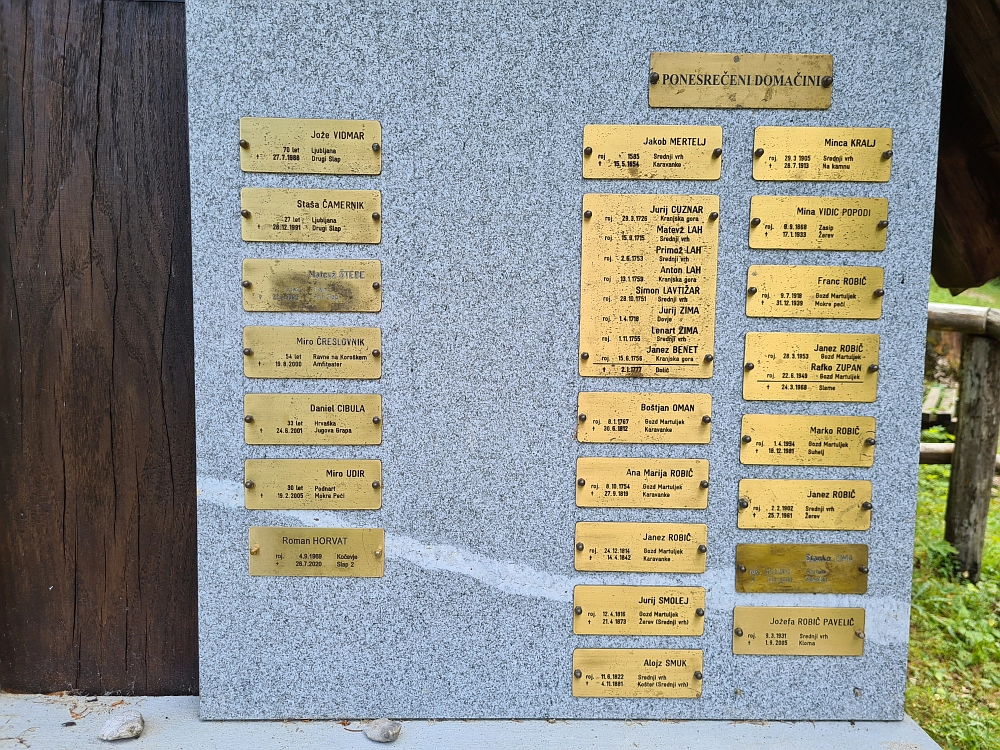 Slika je vidna v Google Chromu.