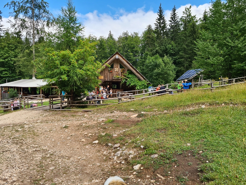 Slika je vidna v Google Chromu.