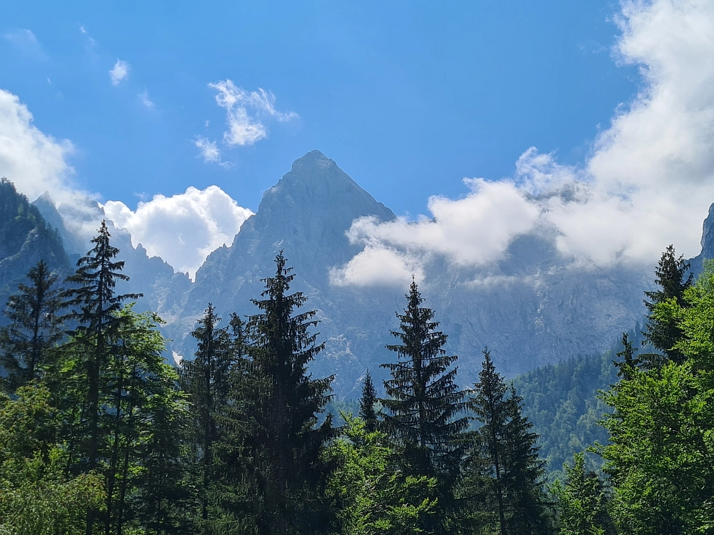 Slika je vidna v Google Chromu.