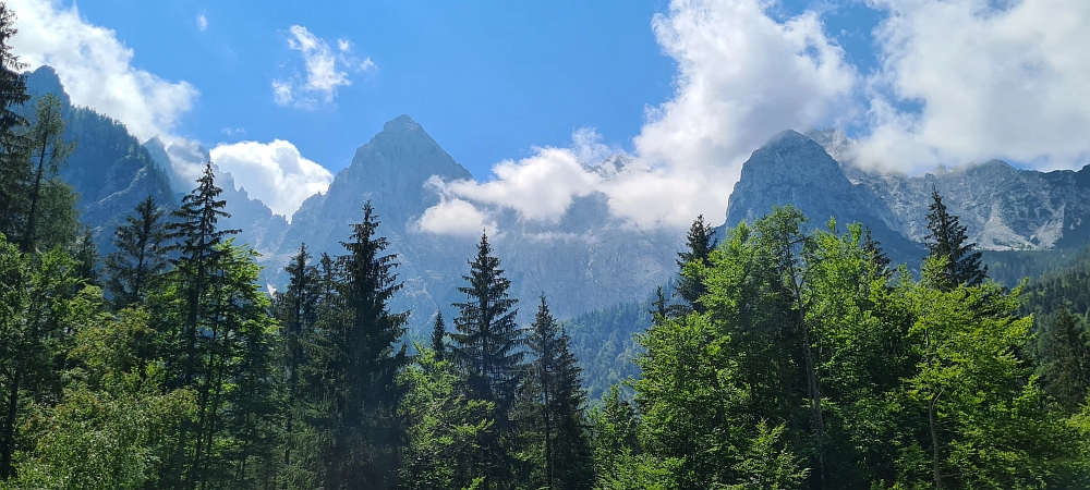 Slika je vidna v Google Chromu.